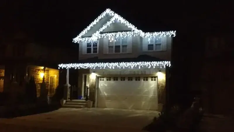 Bush wrap lights